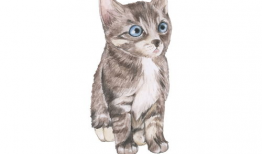 漫画 猫,喵星人的奇幻冒险之旅